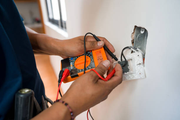 Best Electrical Panel Upgrades  in Albion, NY